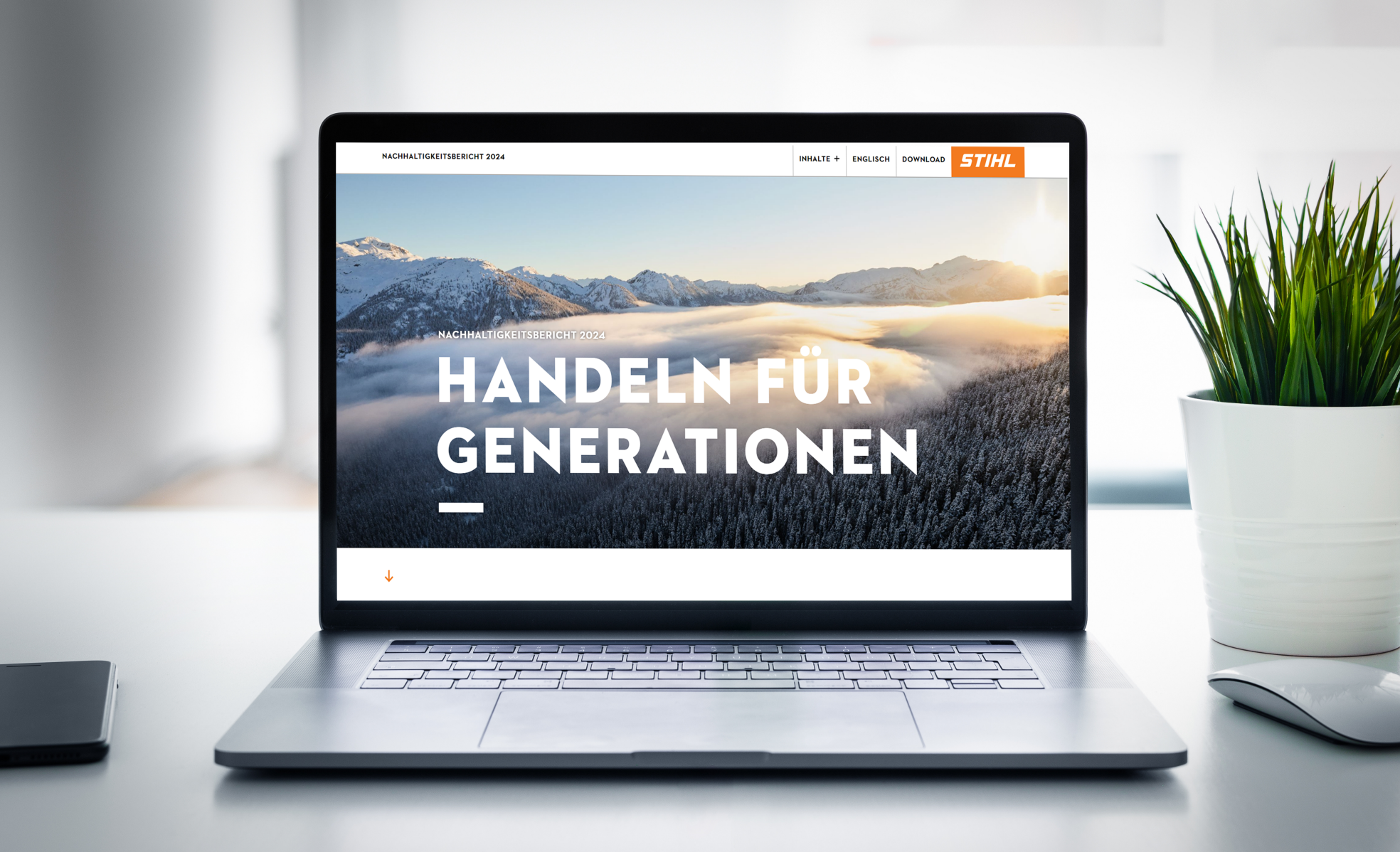 Rapport de développement durable