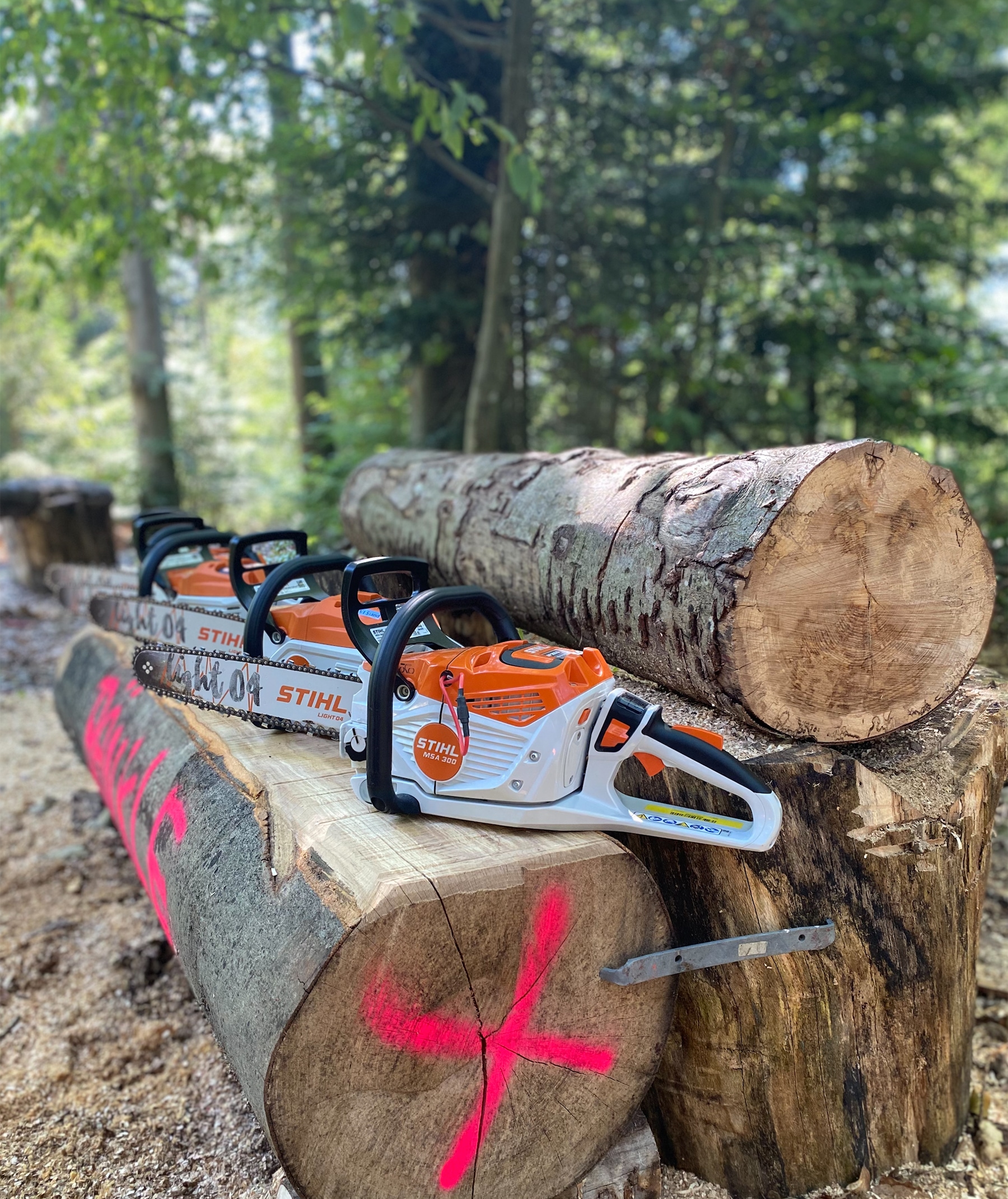 The cordless saws are subjected to a critical examination in the form of the application review and tested for all aspects that are important for future customers.